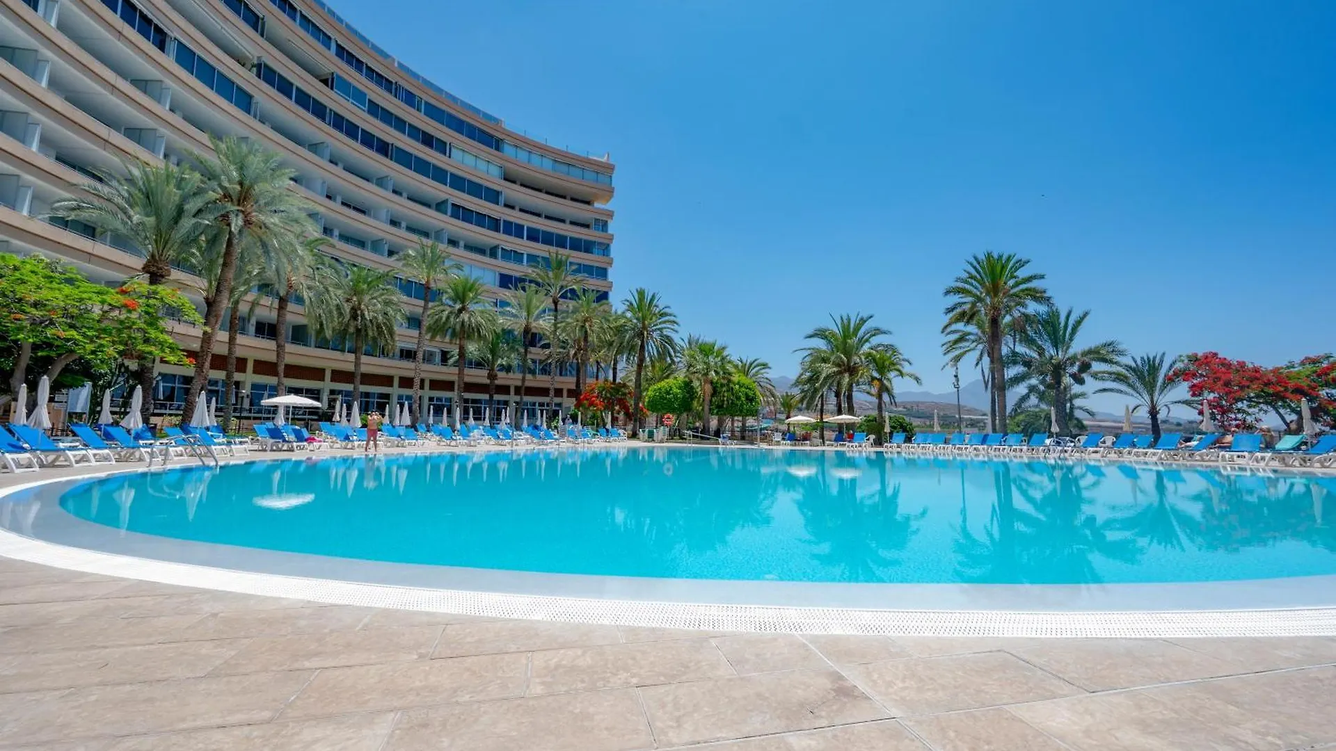 Apartment Ferienwohnung Seagulls Melody C-208 Costa Adeje